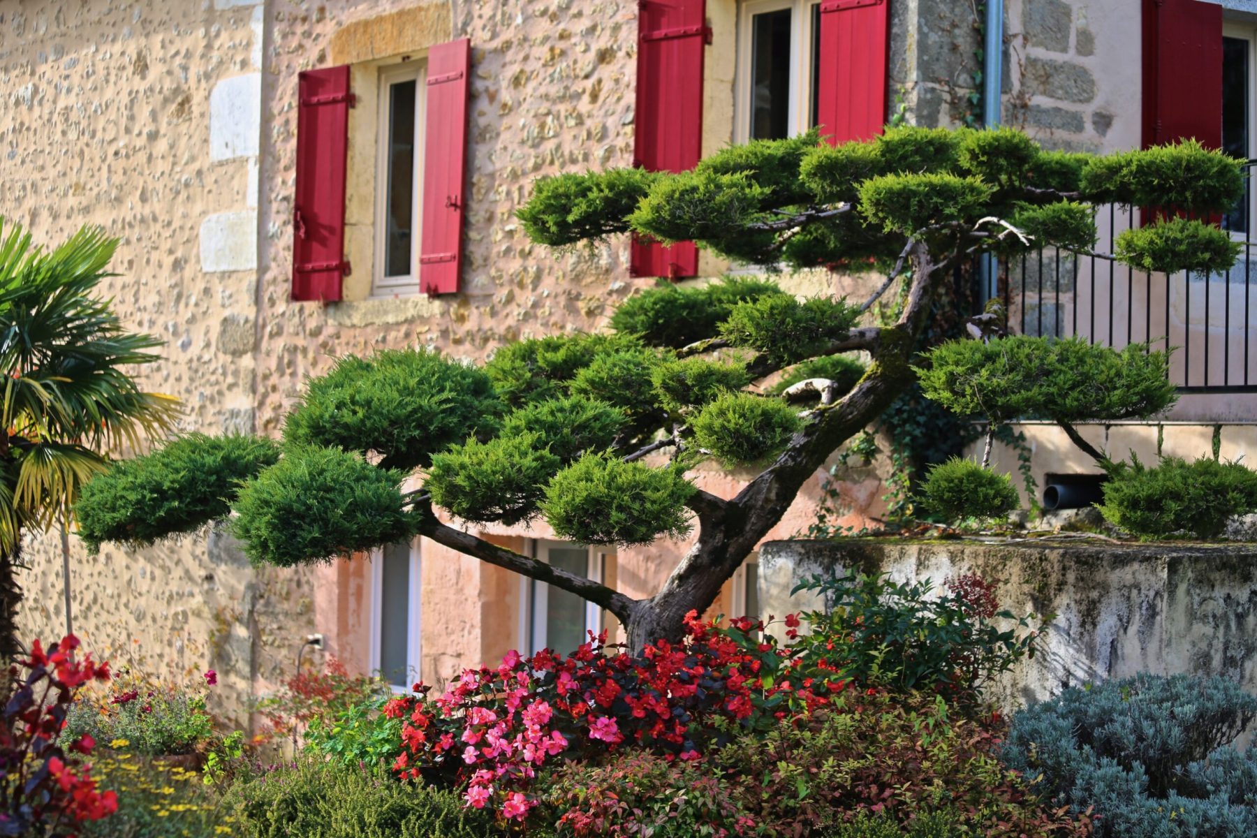 Montagenet -Gîte Olivier - Vue extérieure (2)