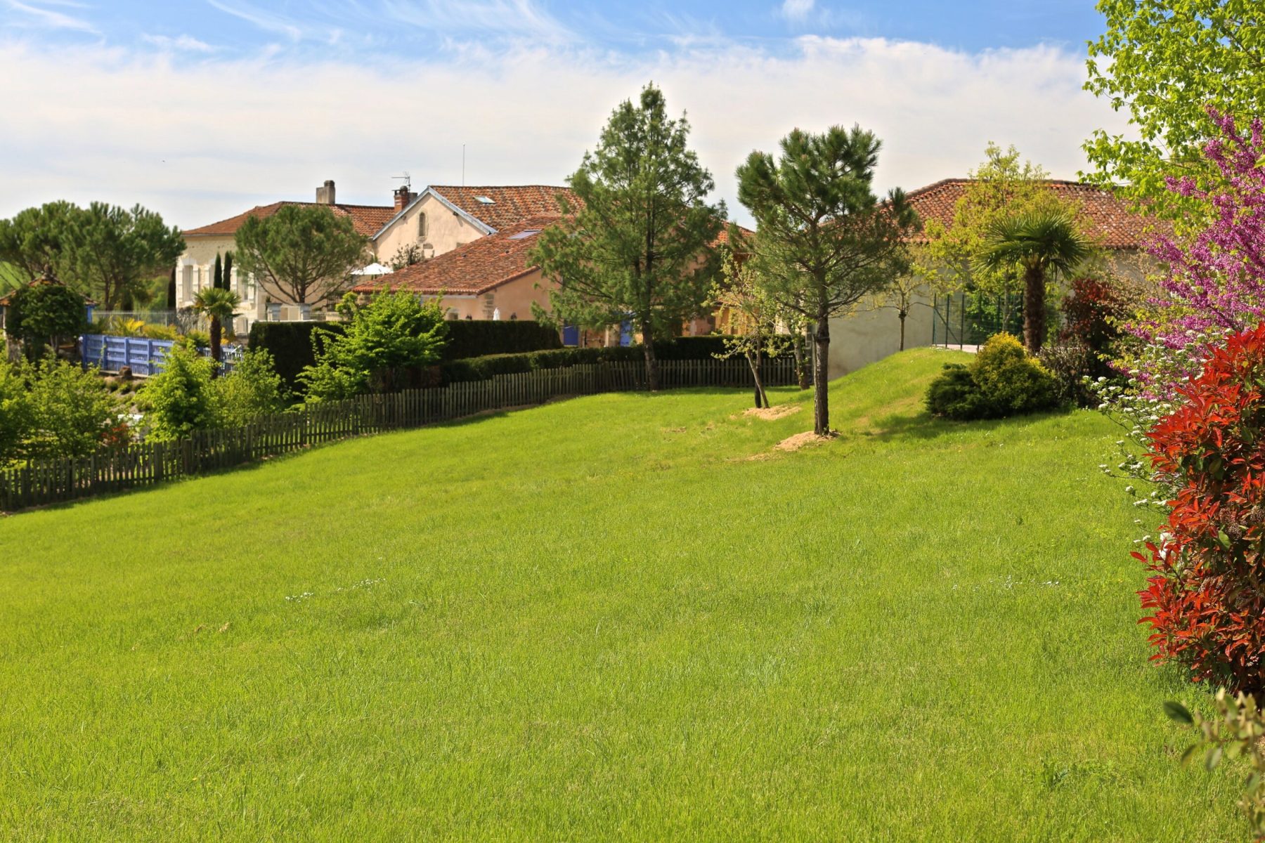 Montagenet -Gîte Orchidée - Jardin